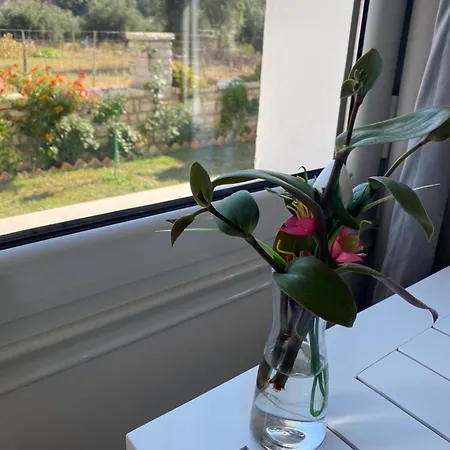 Relax Sb Apartment *