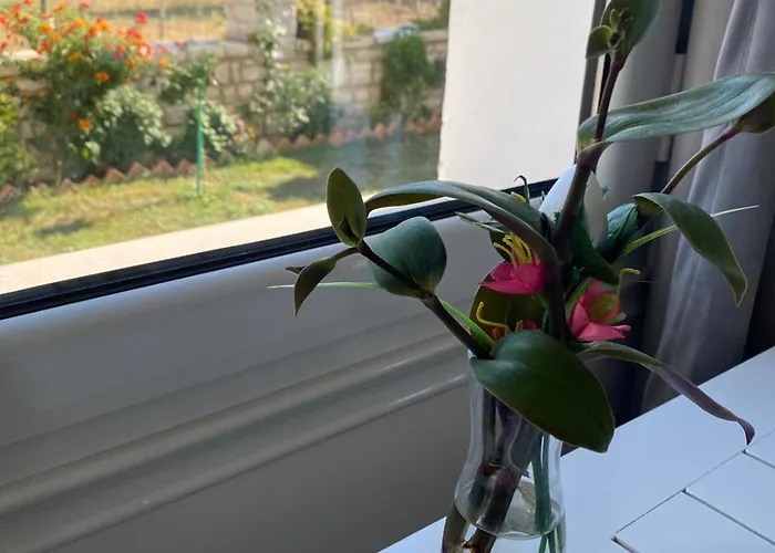 Relax Sb Apartament *